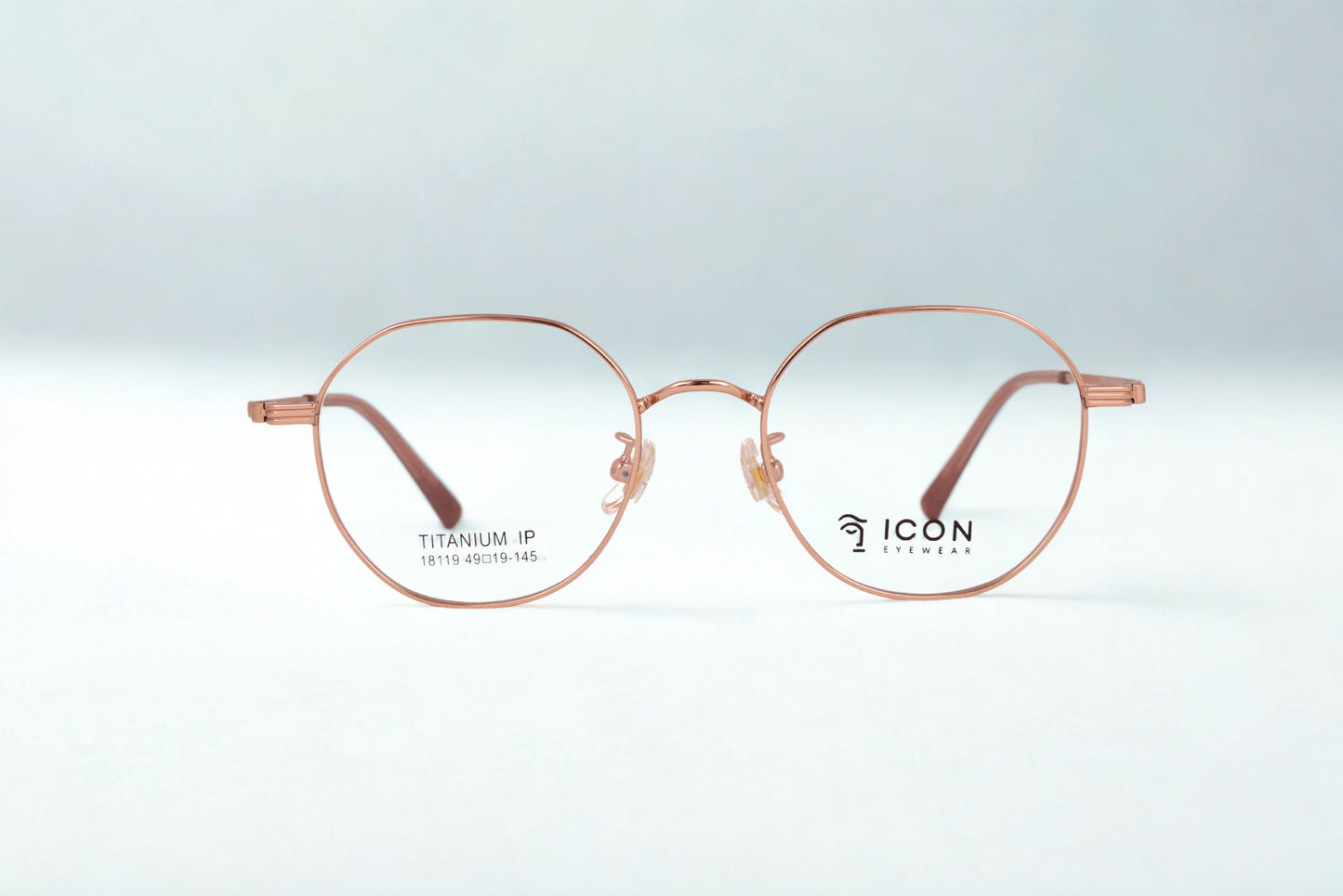 Icon Eyewear Titanium 18119