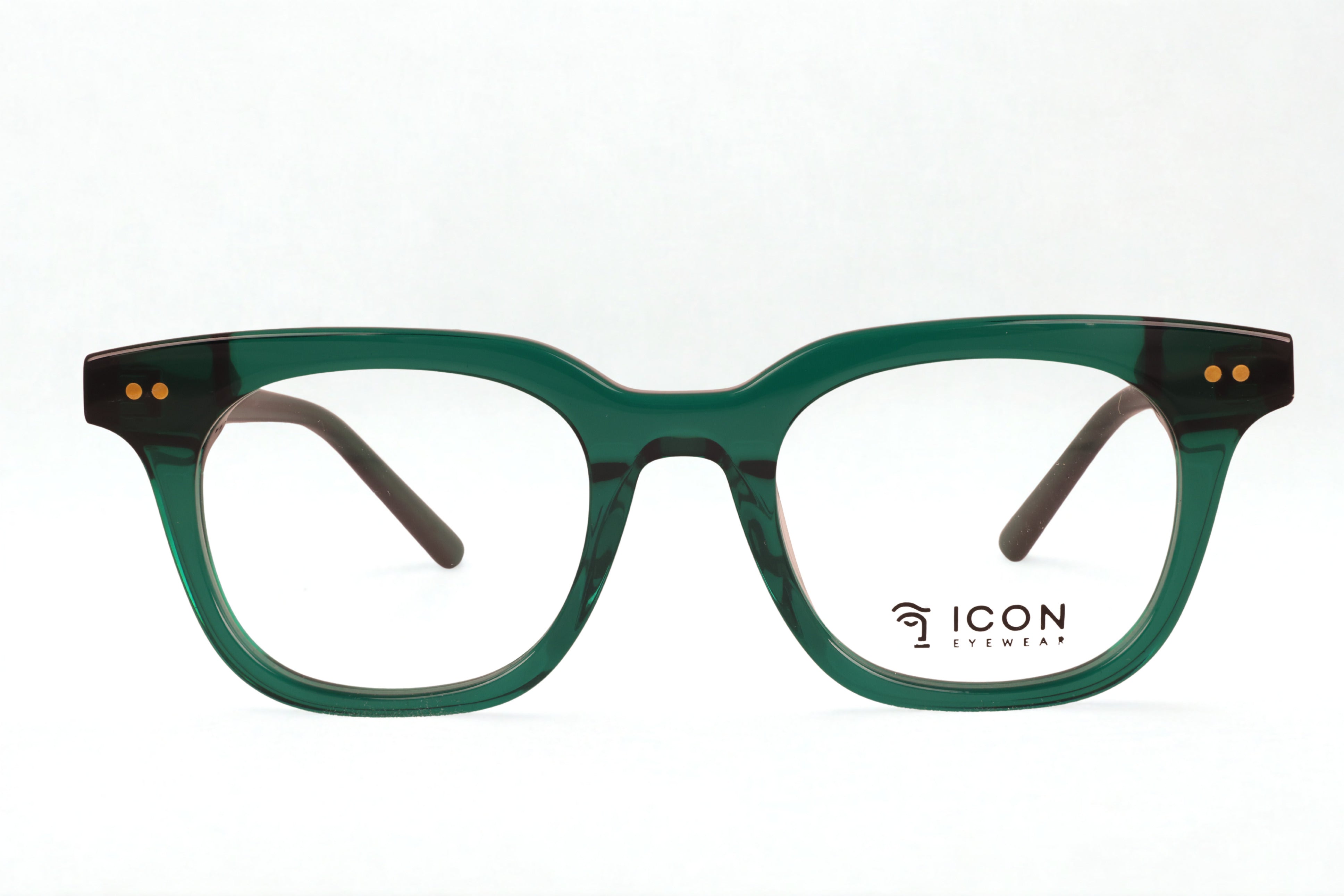 Icon Eyewear DJ9087