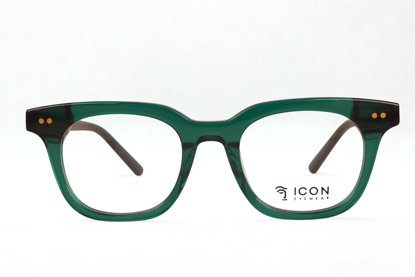 Icon Eyewear DJ9087
