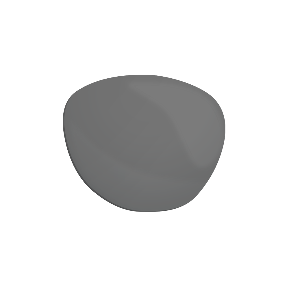 ZEISS Polarised (ZEISS ClearView)